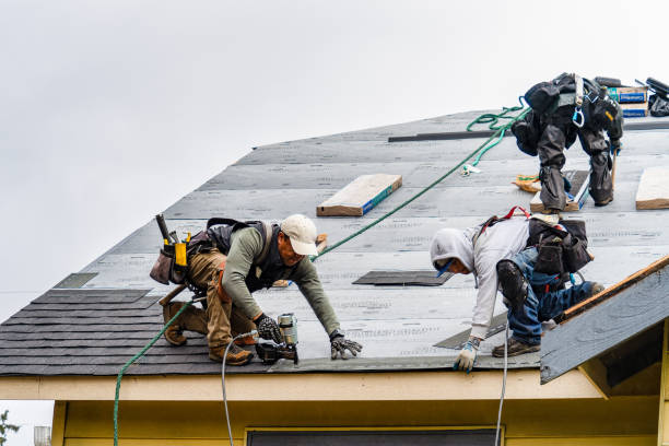 Professional Gutter Installation technician working in Corpus Christi, TX